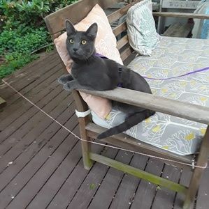 Meet your Posher, Megan